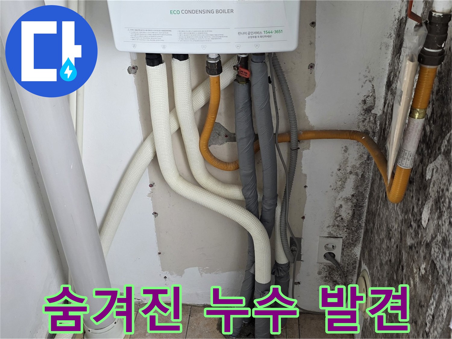 길음동 아파트 곰팡이 핀 벽 - 숨겨진 보일러 배관 누수 탐지 성공
