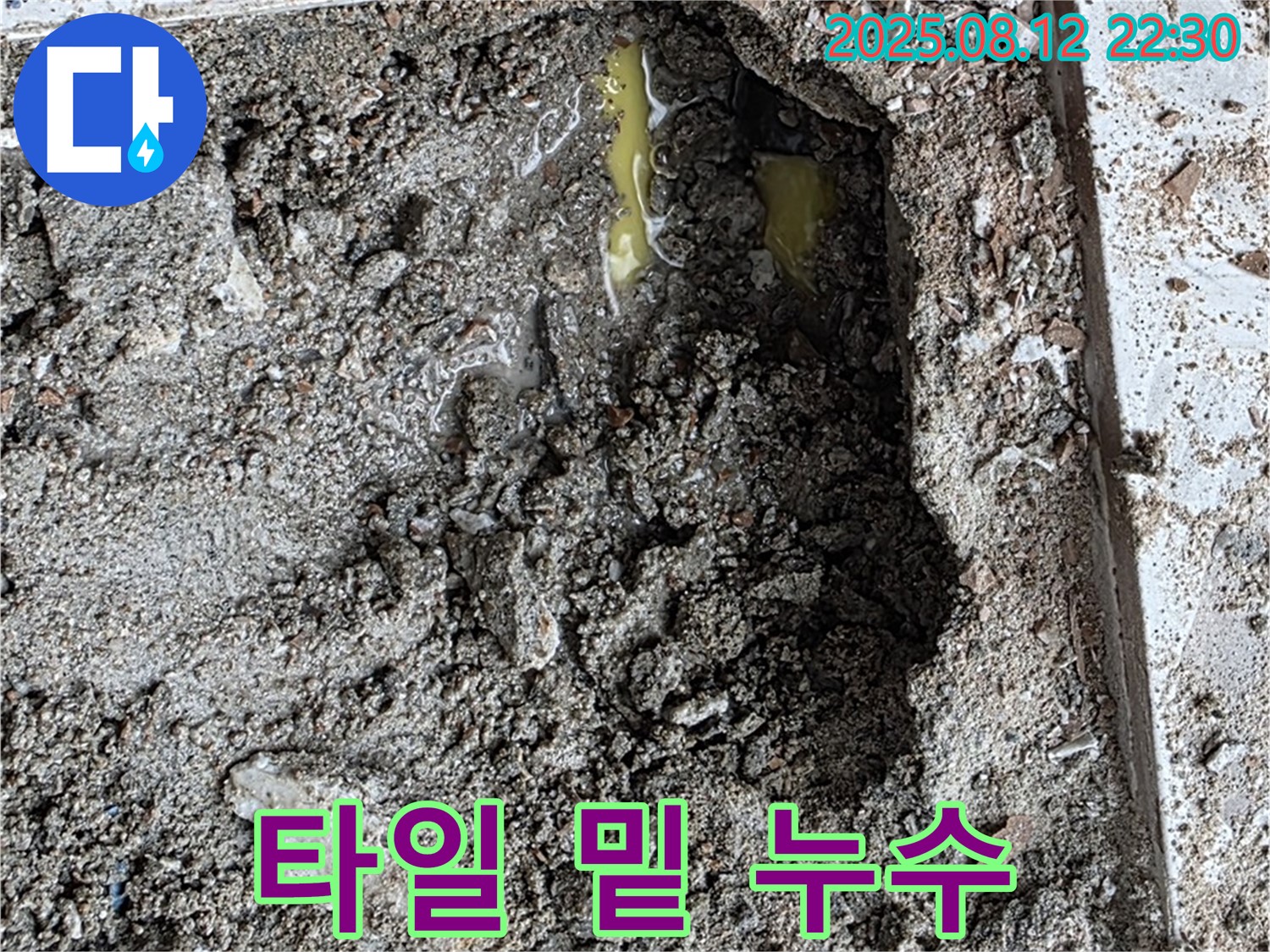 숭인로 16 가가파크 누수 - 타일 밑에 숨겨진 누수 지점