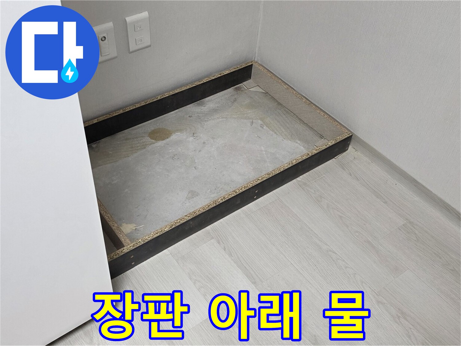 장판 아래 물 - 장판을 걷어내니 드러난 물웅덩이