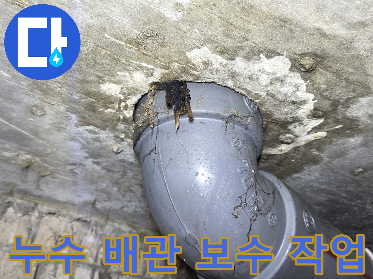수유동 삼광빌라 누수 - 누수 배관 보수 작업 진행 과정