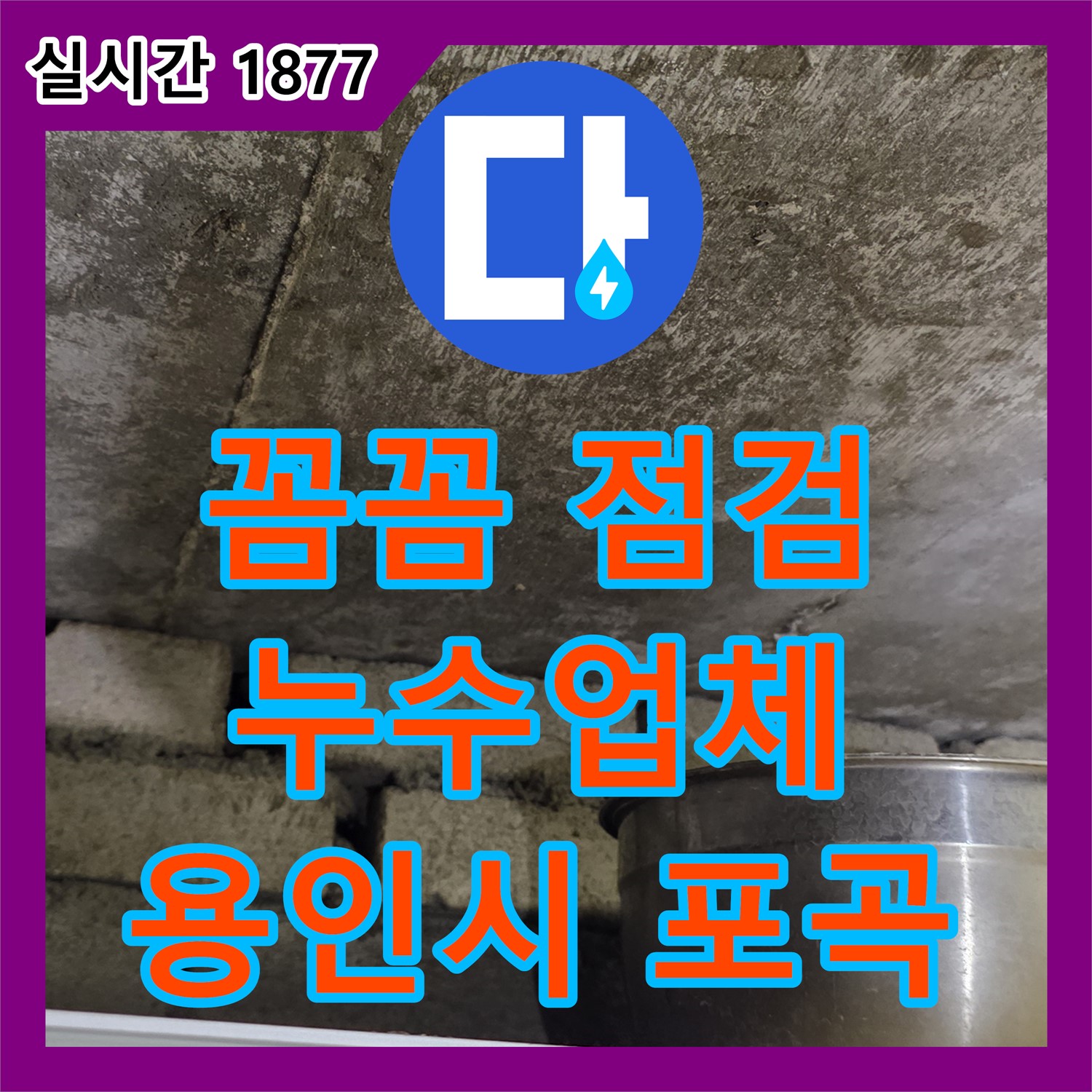 용인시 포곡, 누수업체, 꼼꼼한 누수 점검 서비스