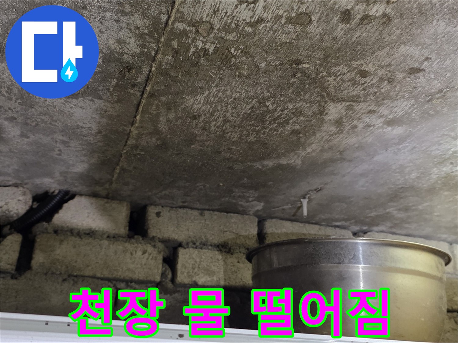 원일아파트 누수 현장 - 천장에서 물이 떨어지는 모습.