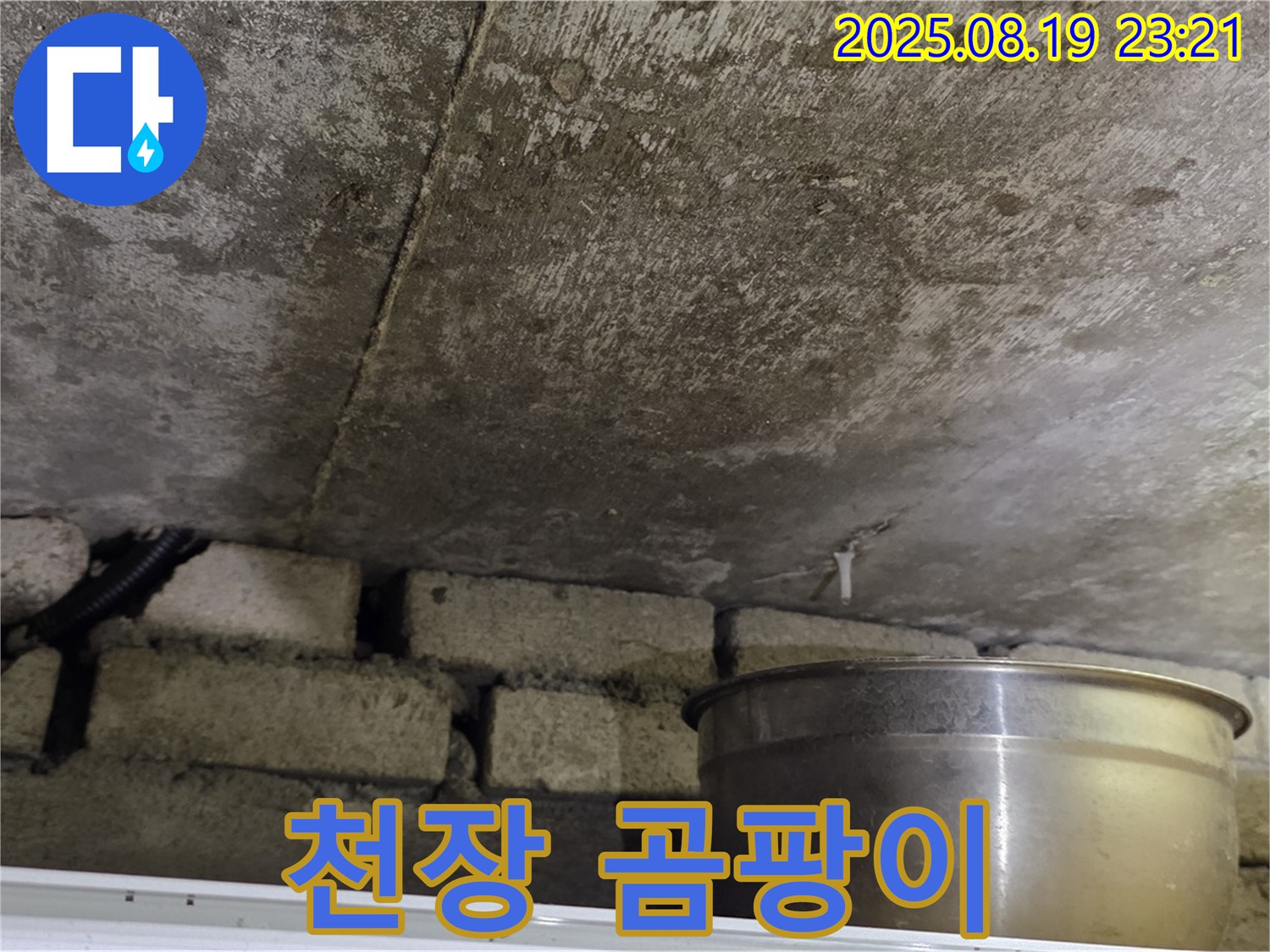 천장 곰팡이 - 누수로 인해 천장에 곰팡이가 핀 모습
