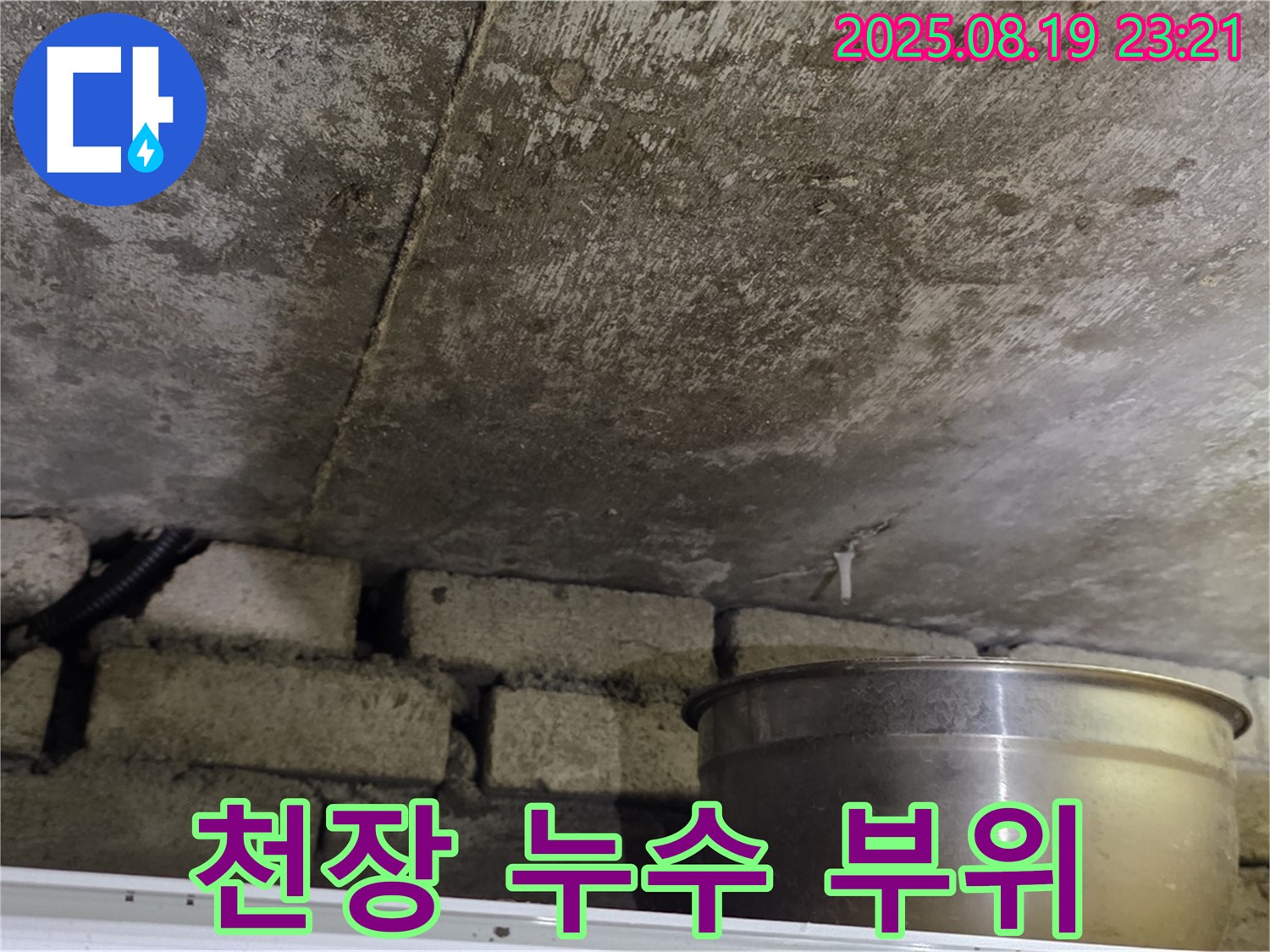 천장 누수 부위 - 천장 특정 부위에 집중적으로 물이 스며든 흔적