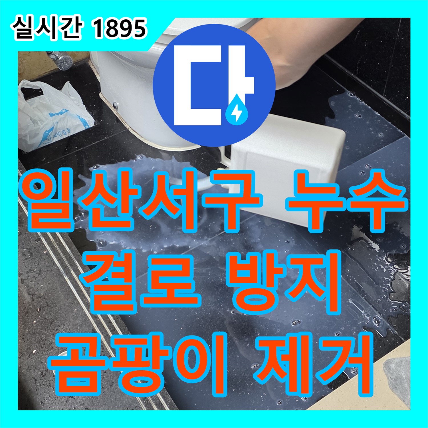 덕이동 누수탐지전문가, 아파트 천장 결로 곰팡이 누수