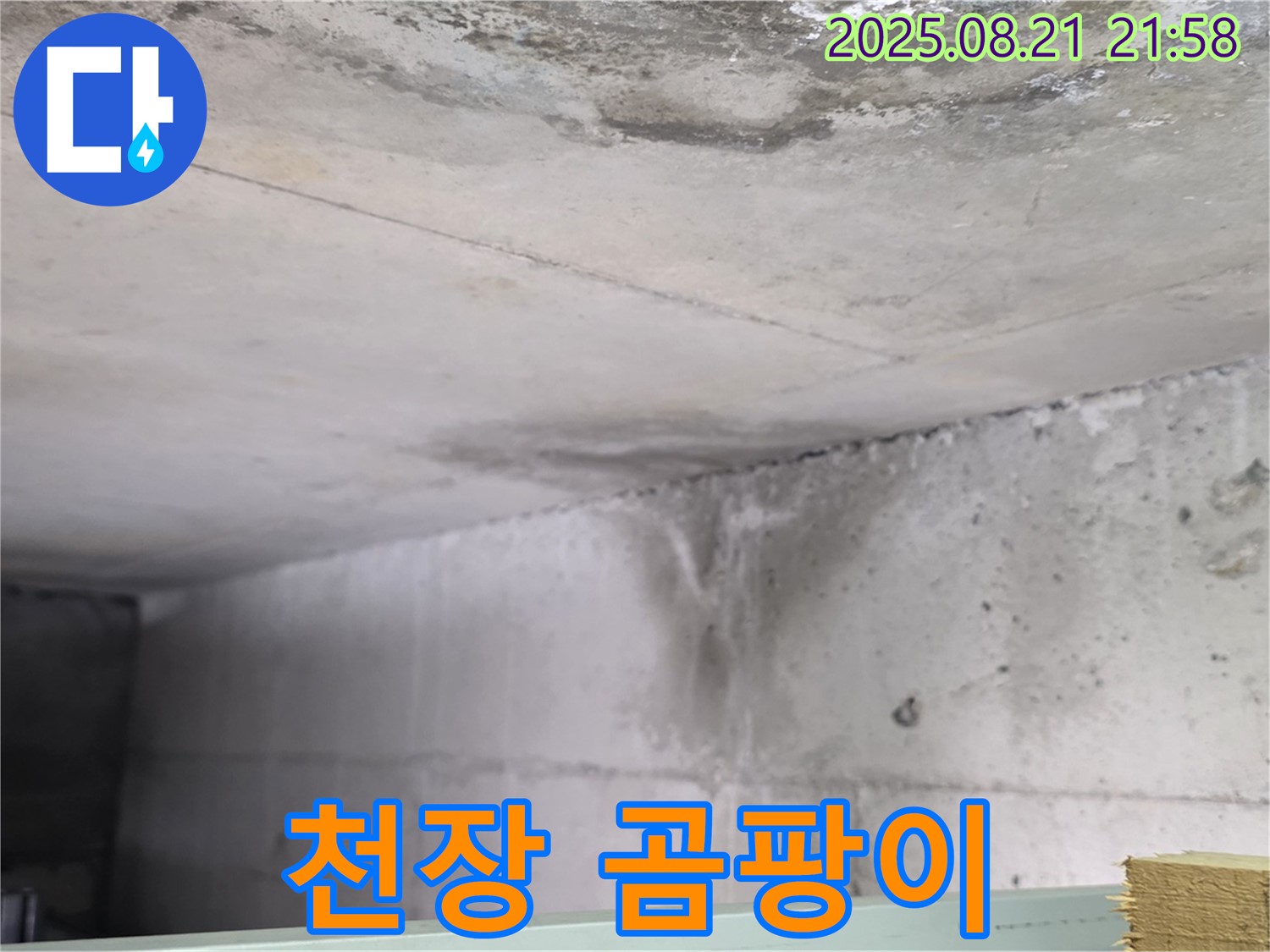 일산서구 구산동 누수 현장 - 콘크리트 천장에 곰팡이가 핀 모습입니다.