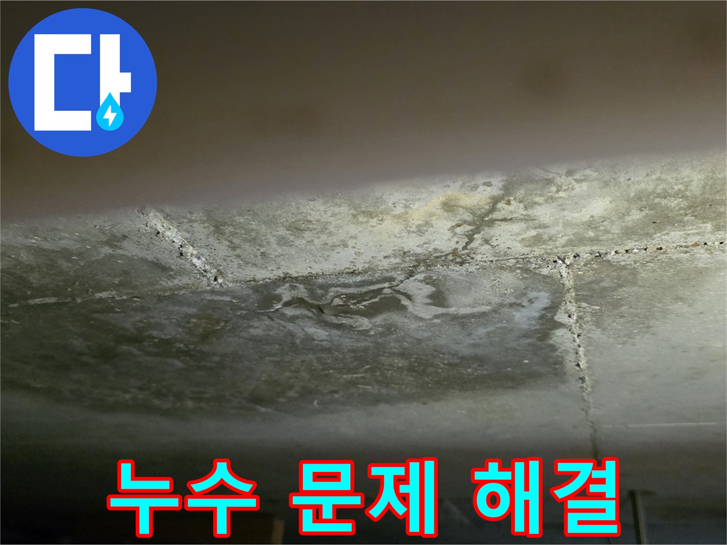 일산서구 하이파크 아파트 누수 문제 해결 - 누수 초기 증상 진단