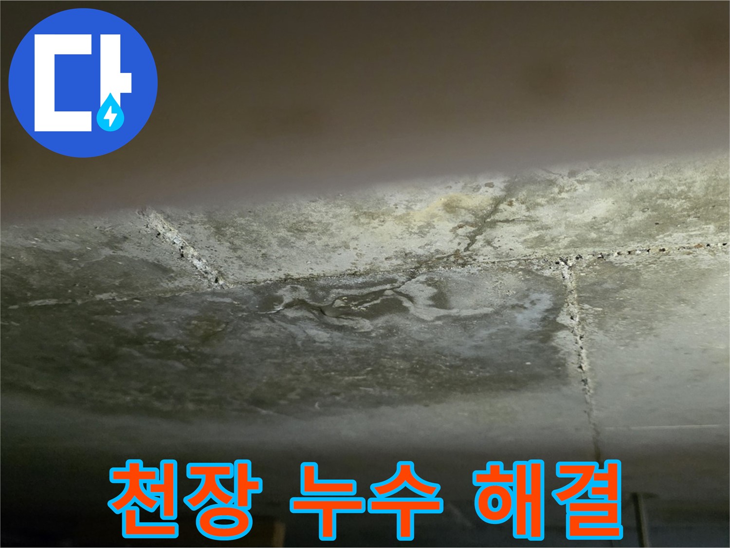 일산서구 하이파크 아파트 천장 누수 해결 - 누수 문제 해결 전문