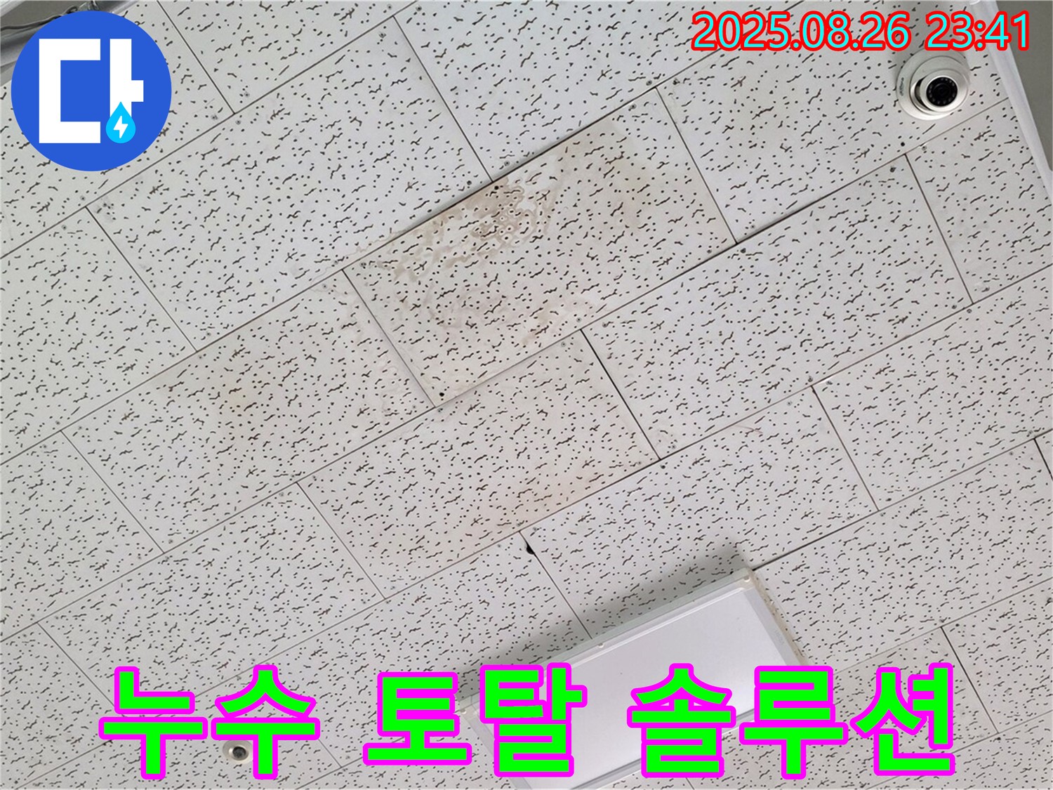 김포 장기동 천장 누수 - 누수 탐지부터 완벽 시공까지 한 번에