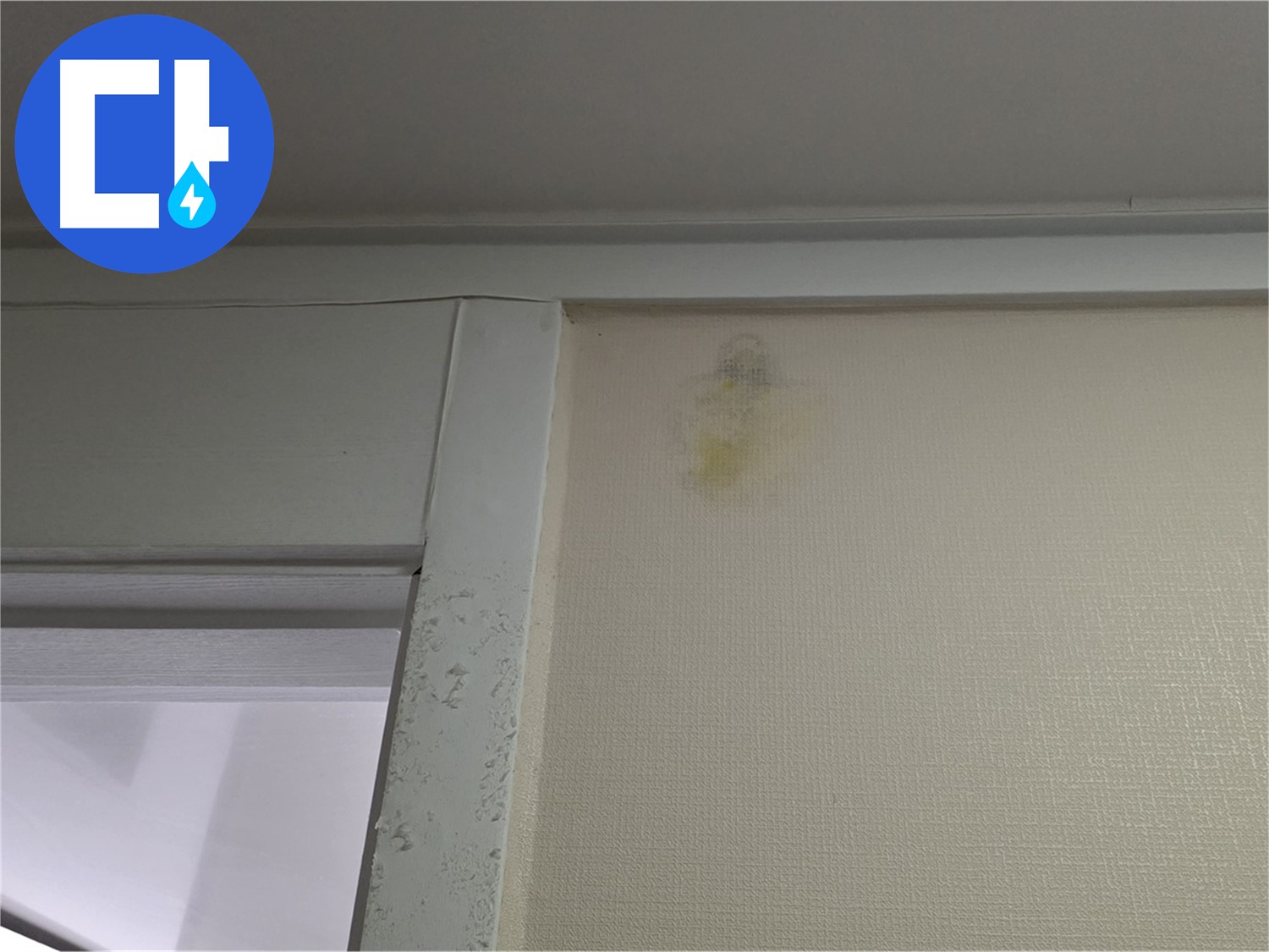 성남 분당 운중동 산운마을 아파트 - 벽 누수 흔적 신속 점검