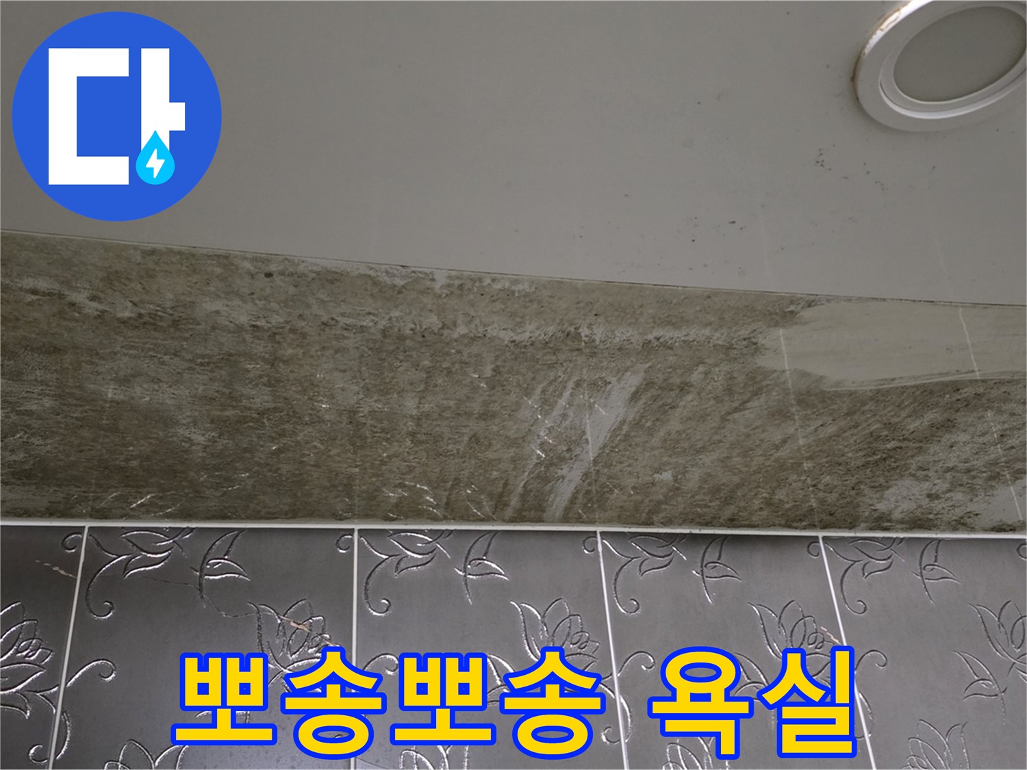 곰팡이 핀 화장실 천장 - 곰팡이 OUT, 뽀송뽀송 욕실 완성