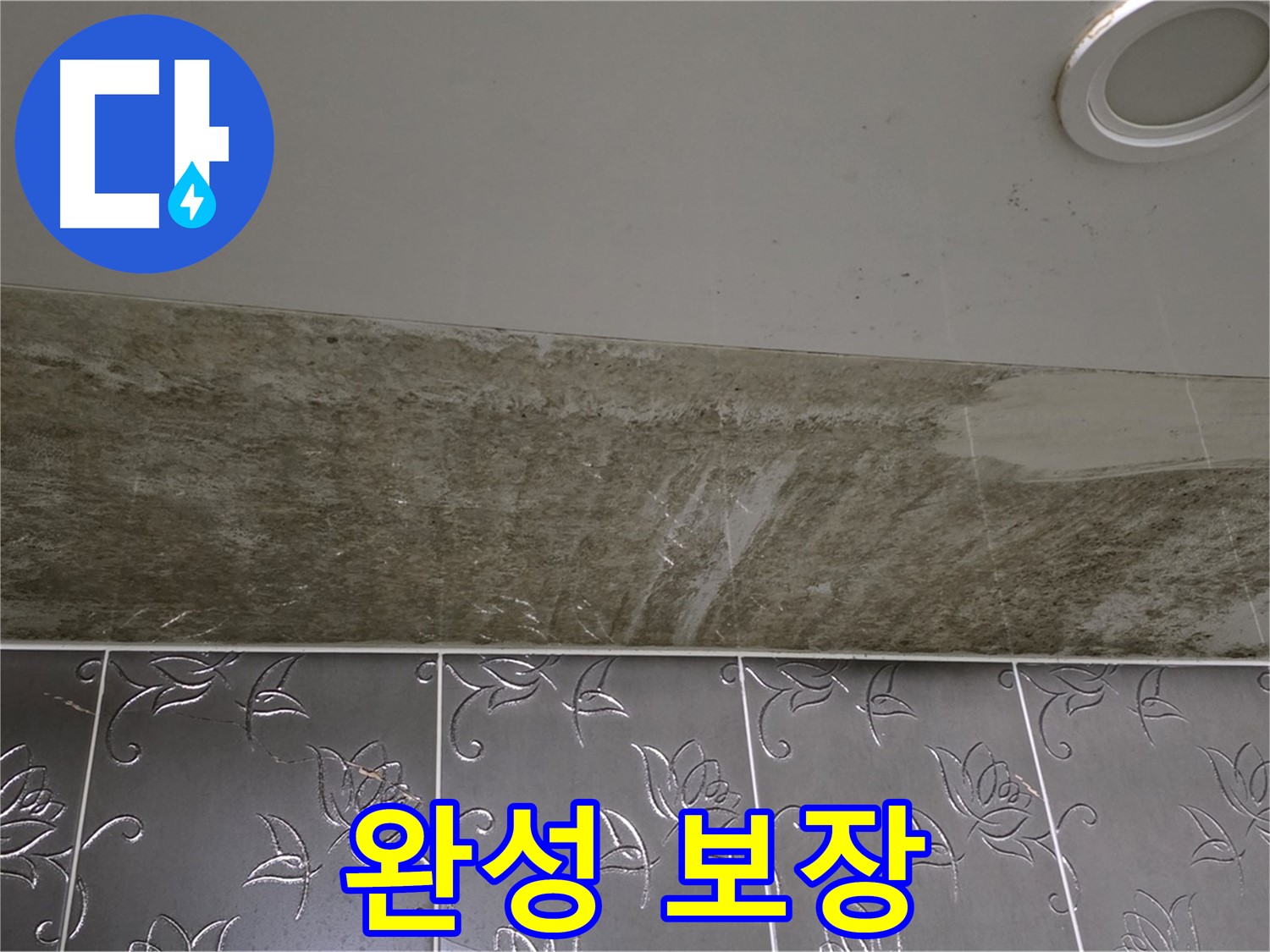 곰팡이 핀 화장실 천장 - 곰팡이 OUT, 쾌적하고 뽀송한 우리집 완성 보장