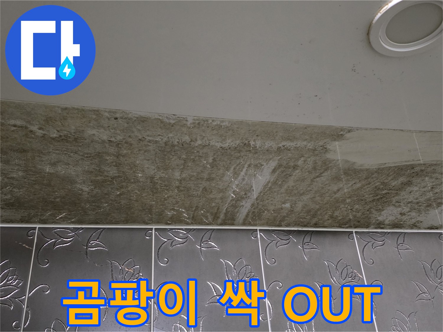 곰팡이 핀 화장실 천장 - 곰팡이 싹 OUT, 상쾌함만 IN