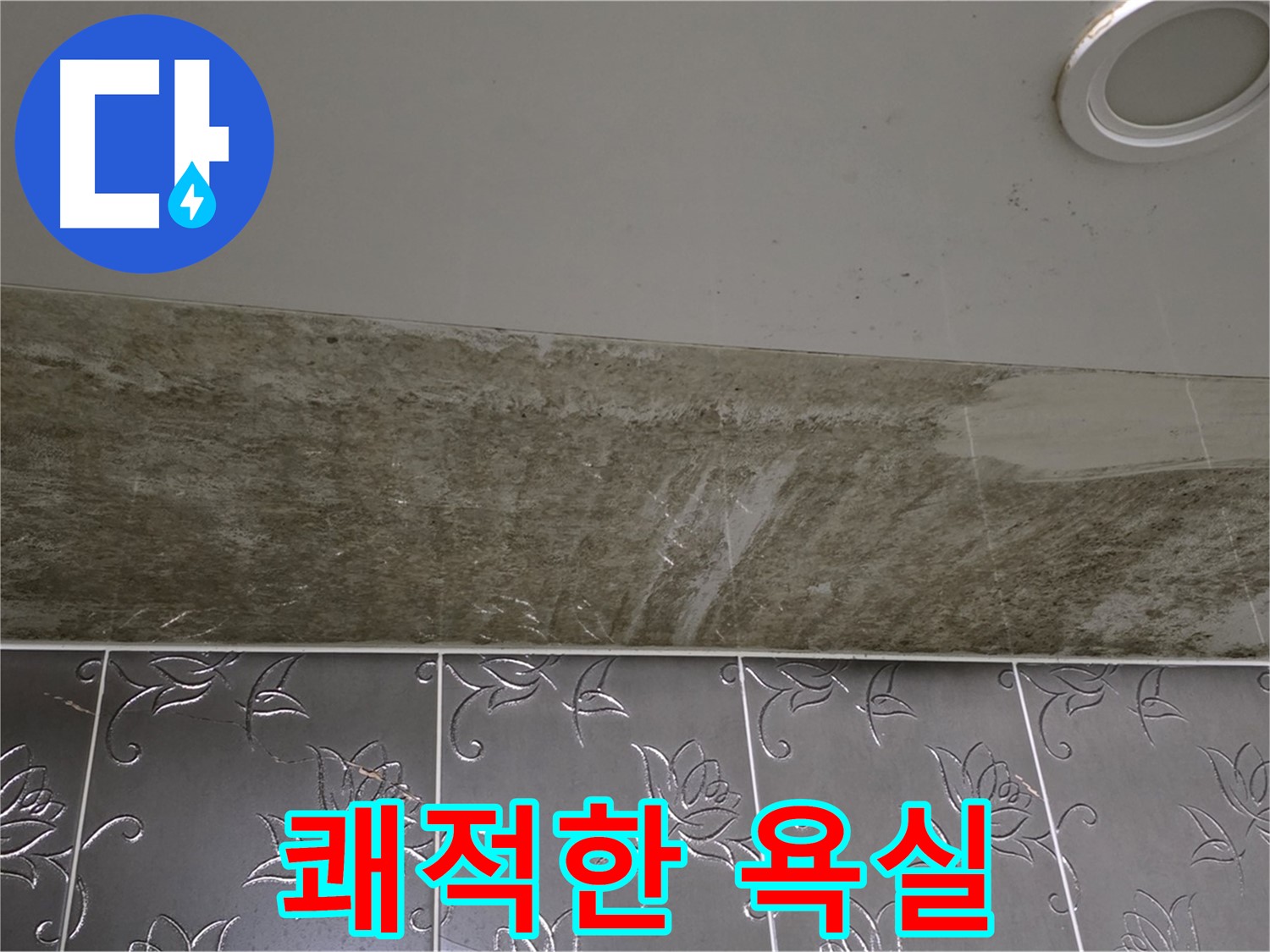 곰팡이 핀 화장실 천장 - 누수 해결로 쾌적한 욕실 변신