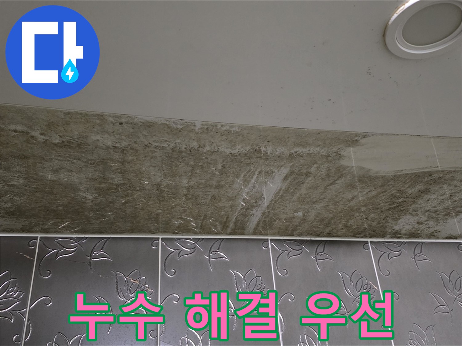 곰팡이 핀 화장실 천장 - 누수 해결이 최우선