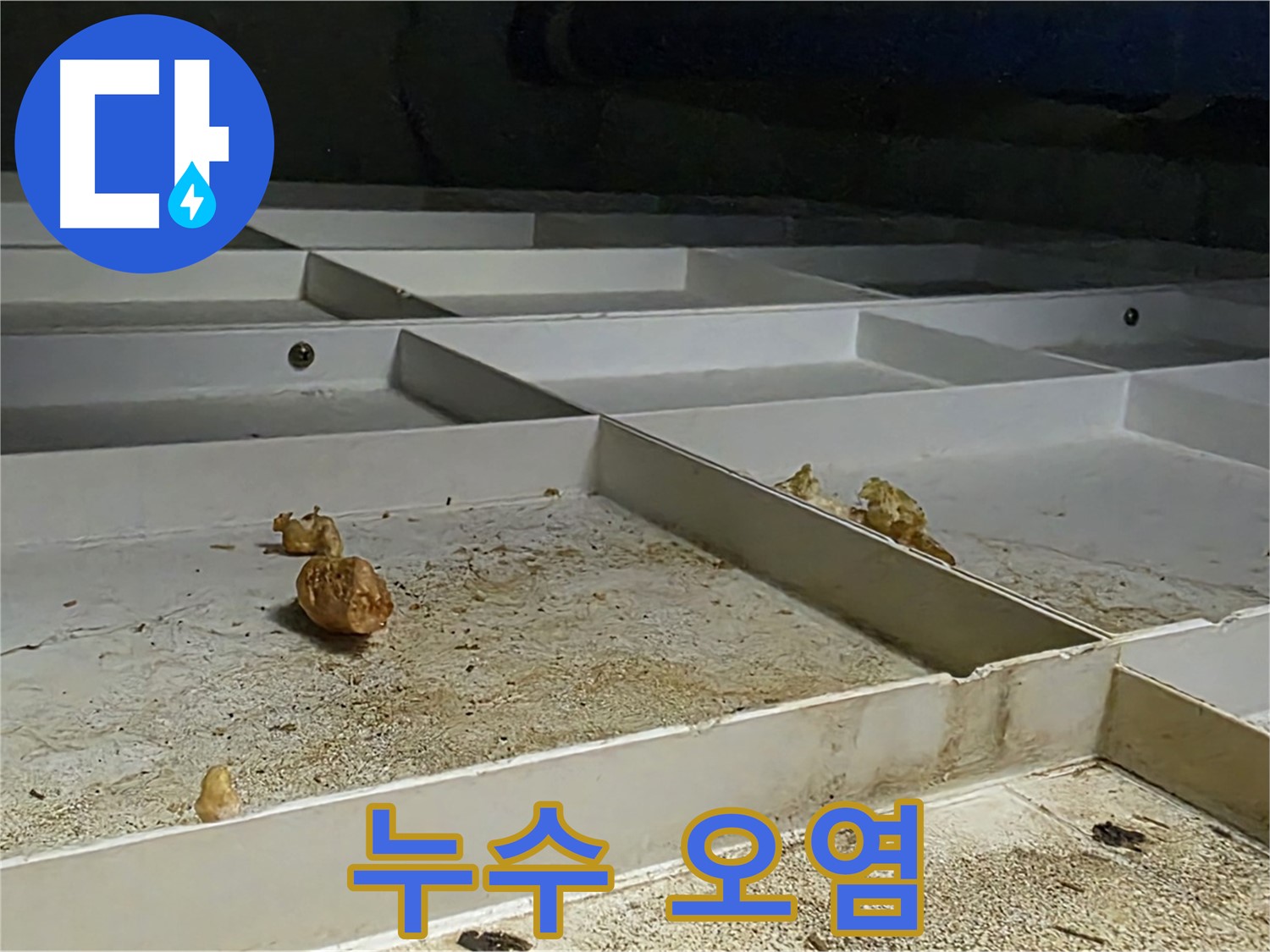누수 오염 - 누수로 인한 오염 물질