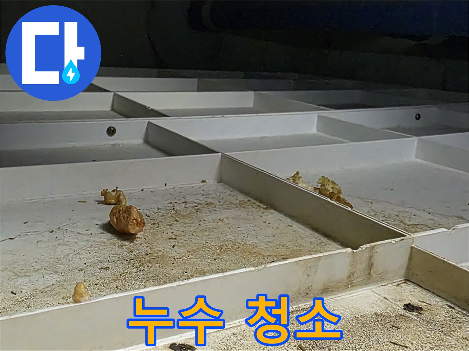 누수 청소 - 누수 후 깨끗한 청소