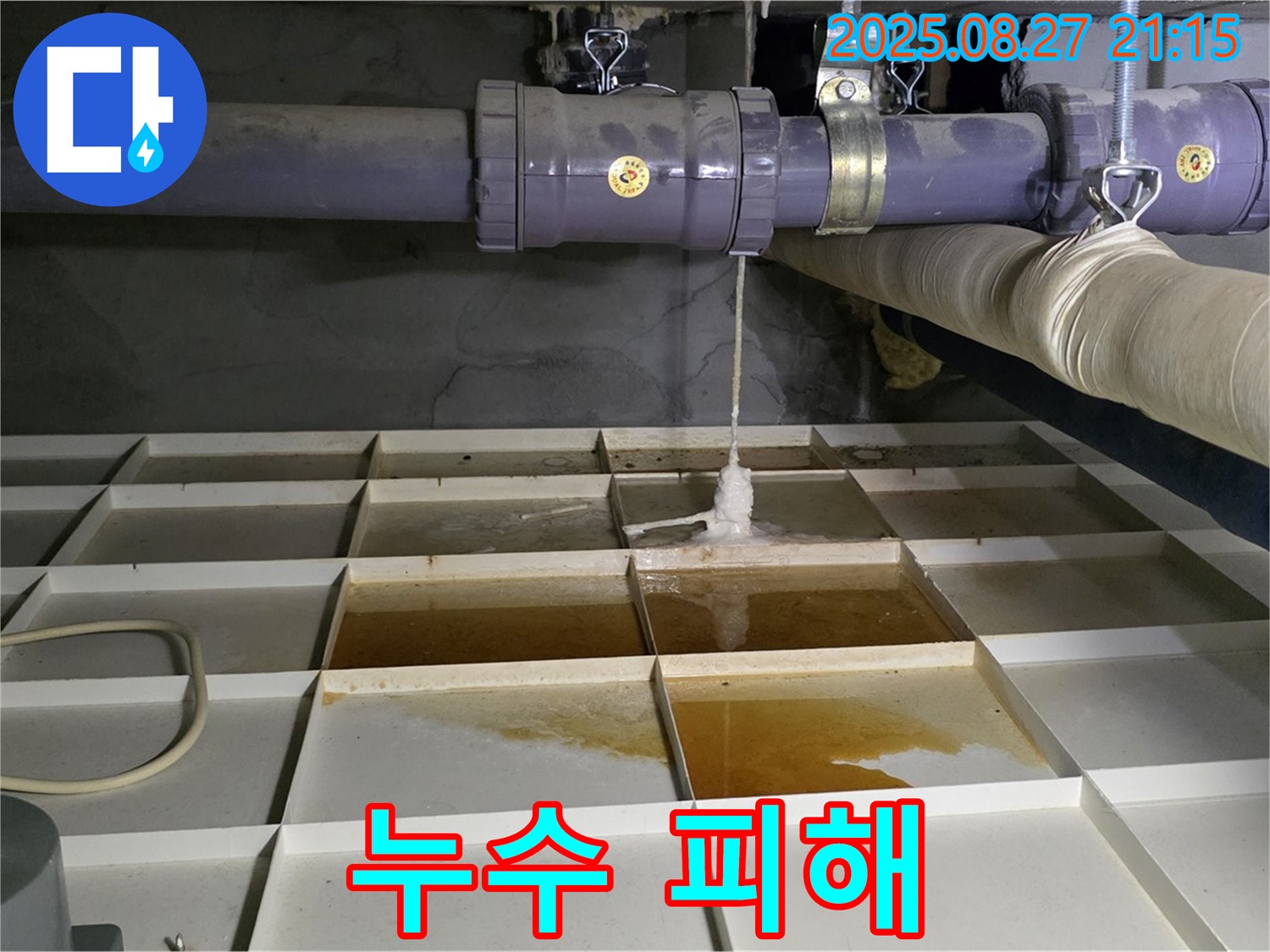 누수 피해 - 고객 만족 최우선!