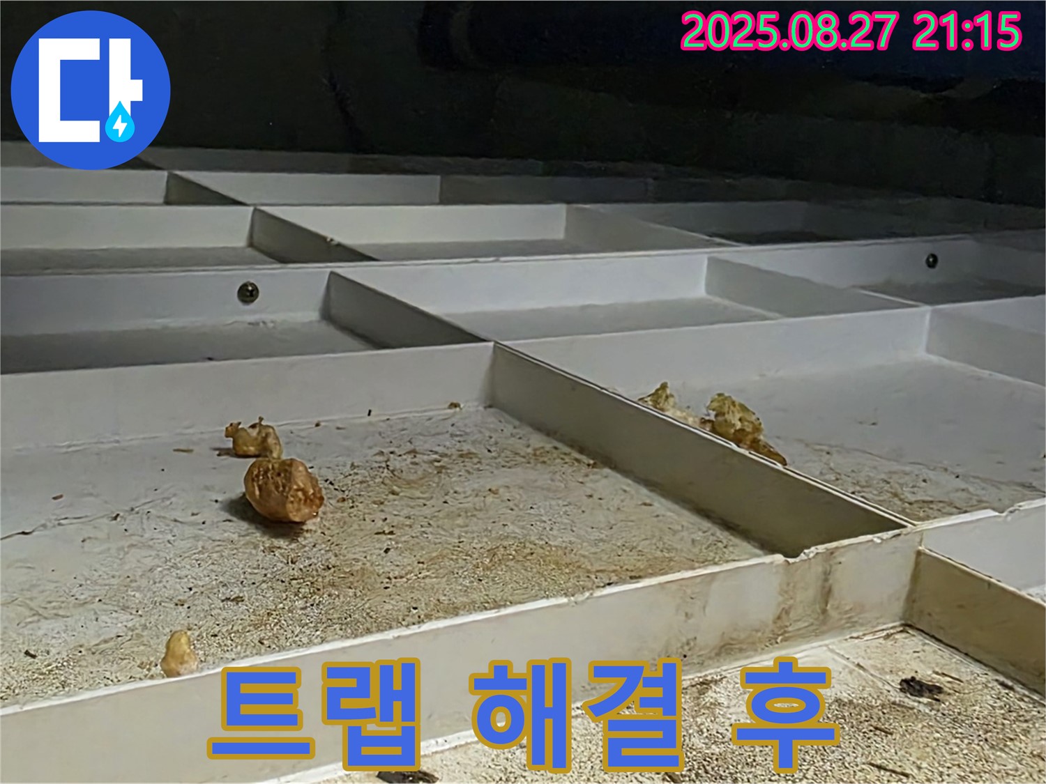 배수 트랩 문제 해결 후 - 깨끗하게 해결된 모습입니다.