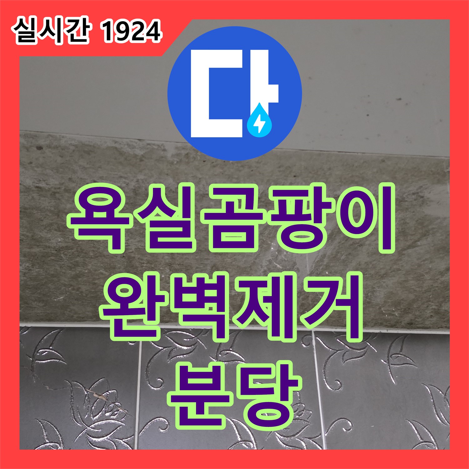 분당 누수전문, 욕실 곰팡이, 누수 탐지부터 완벽 제거