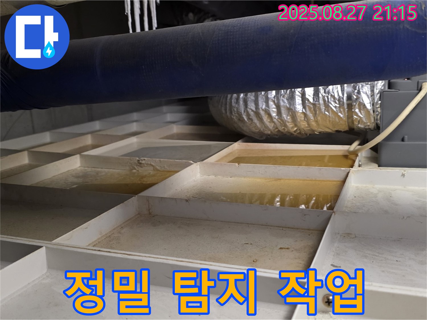 분당 산운마을 누수 현장 - 정밀 탐지 장비를 사용하여 숨은 누수 지점을 찾고 있습니다.