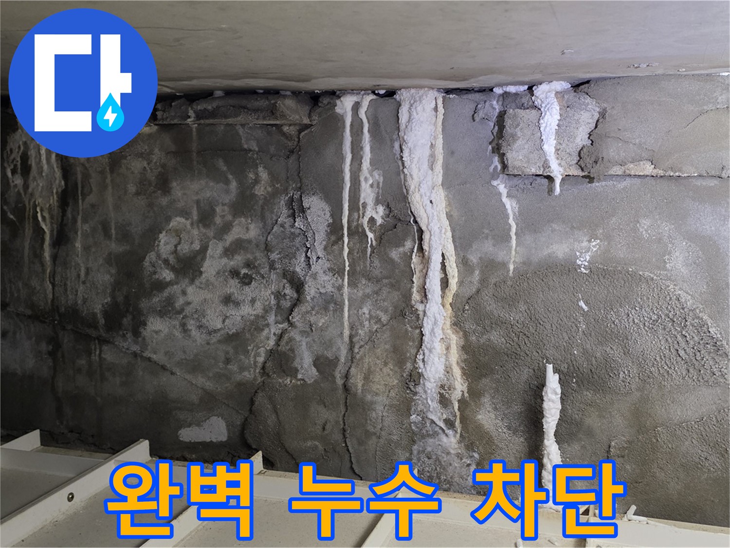 분당 운중동 건물 누수 - 완벽 차단, 쾌적한 공간으로!