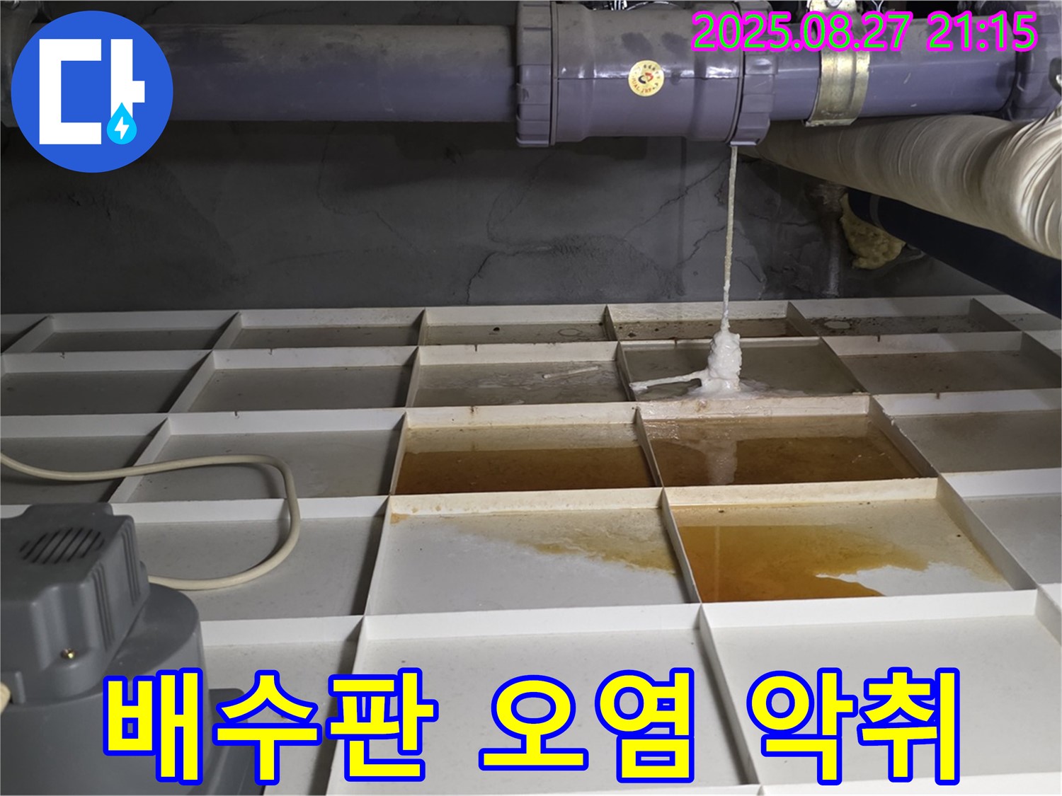 분당 운중동 산운마을 - 배수판에 고인 누런 오염수와 악취 - 쾌적한 환경을 위협합니다.