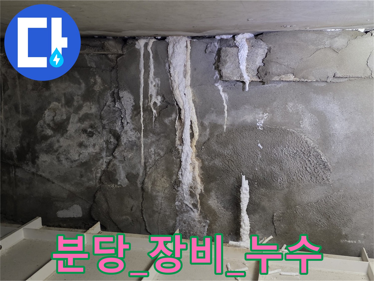 분당 콘크리트 누수 - 최첨단 장비 사용