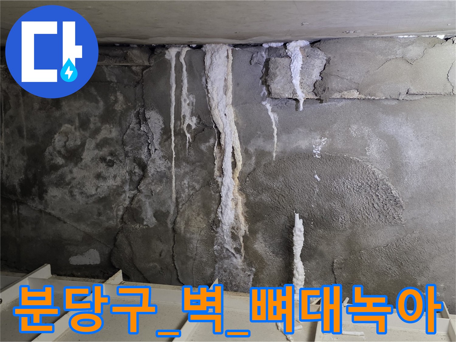 분당구 콘크리트 벽 - 석회수 고드름, 건물 뼈대 녹아내리는 듯