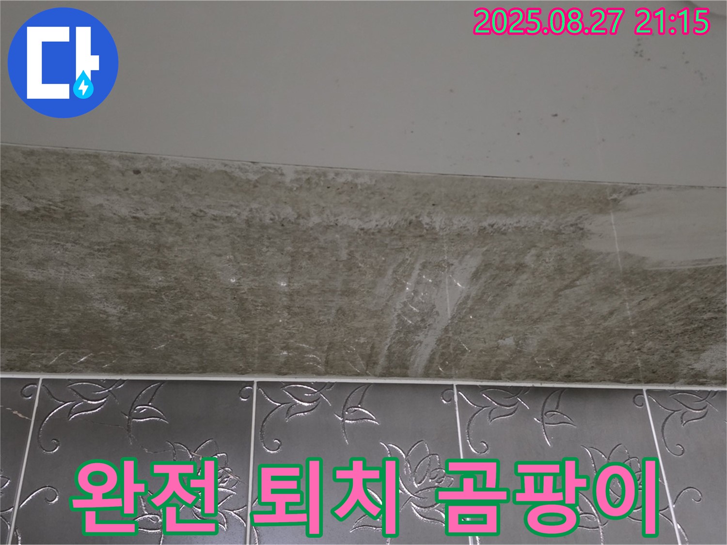 산운로 121 곰팡이 - 곰팡이, 완전 퇴치!
