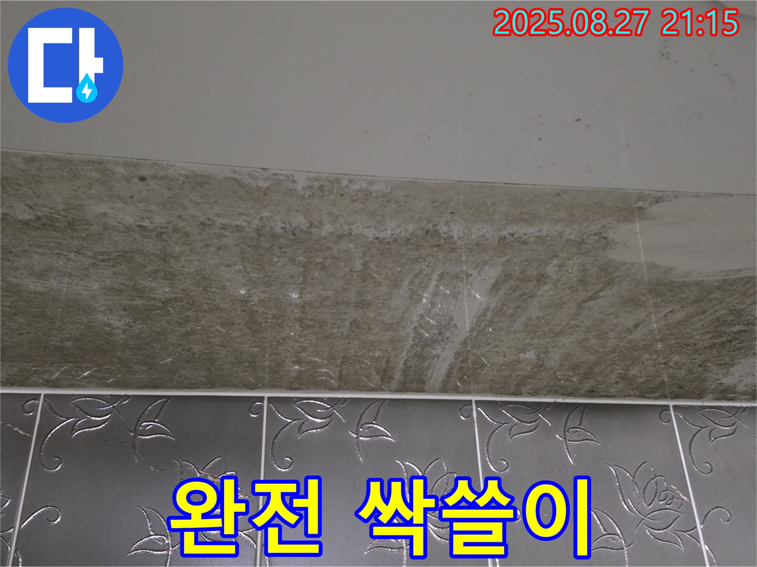 산운로 곰팡이 - 곰팡이 완전 싹쓸이!