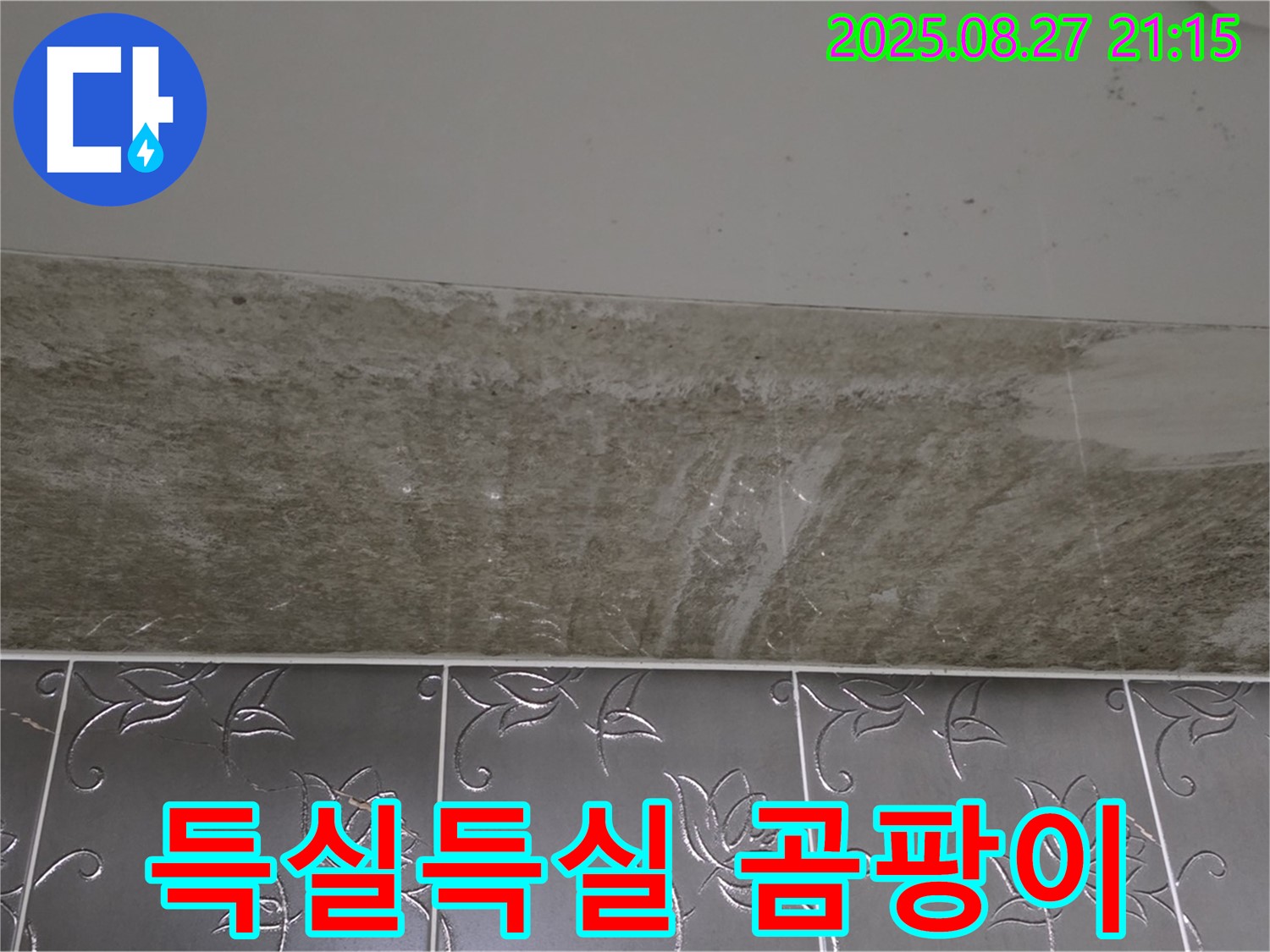 산운마을 6단지 곰팡이 - 곰팡이, 득실득실!