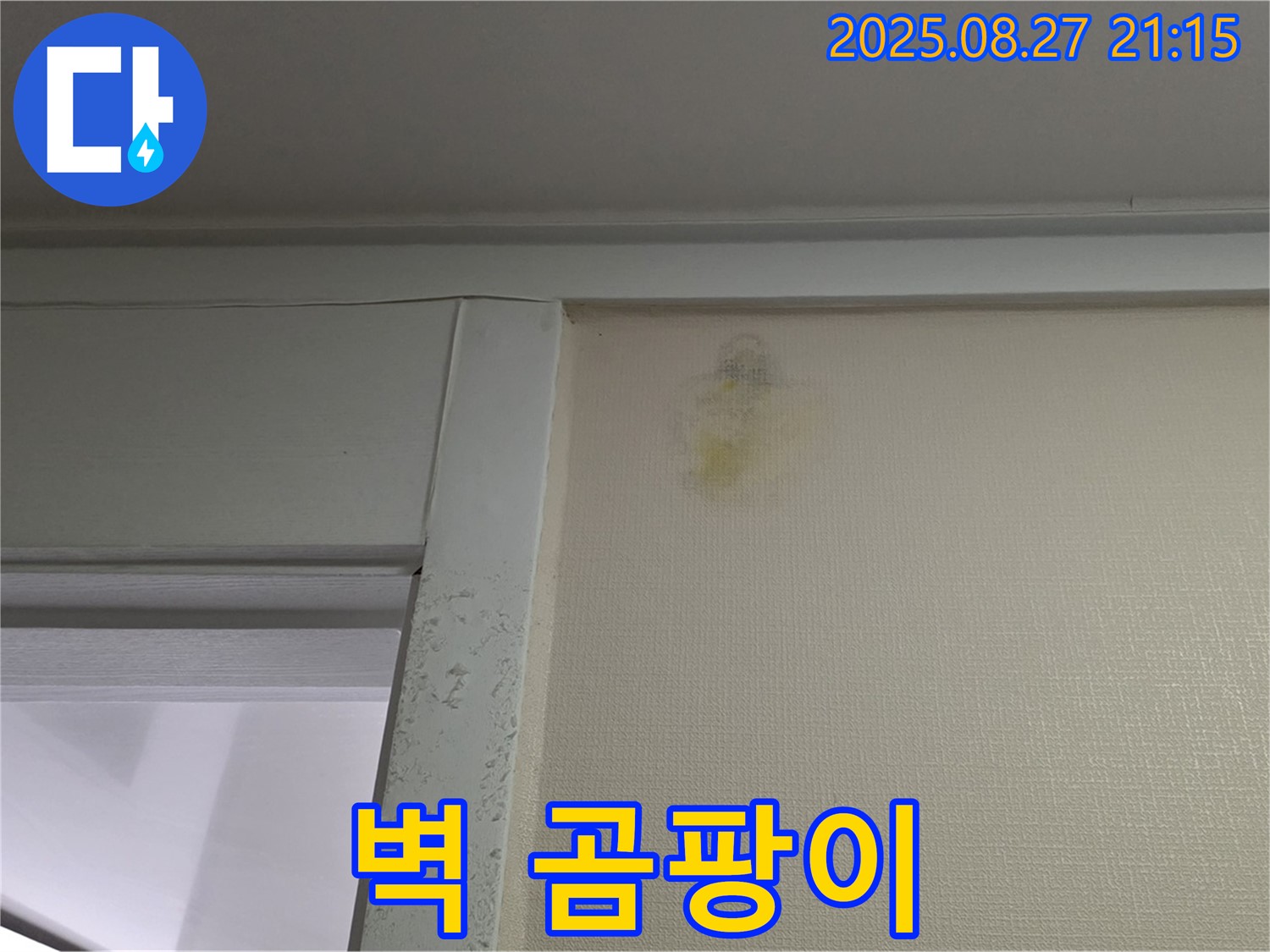 산운마을 6단지 - 벽 곰팡이 - 쾌적한 공간 약속