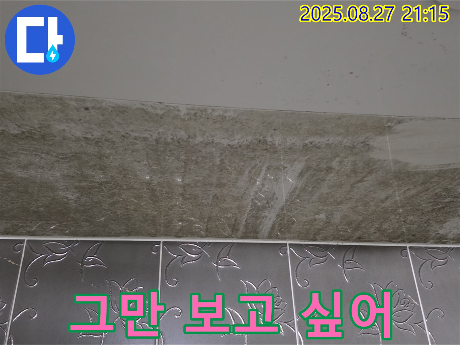 산운마을 곰팡이 - 곰팡이, 이제 그만 보고 싶어!