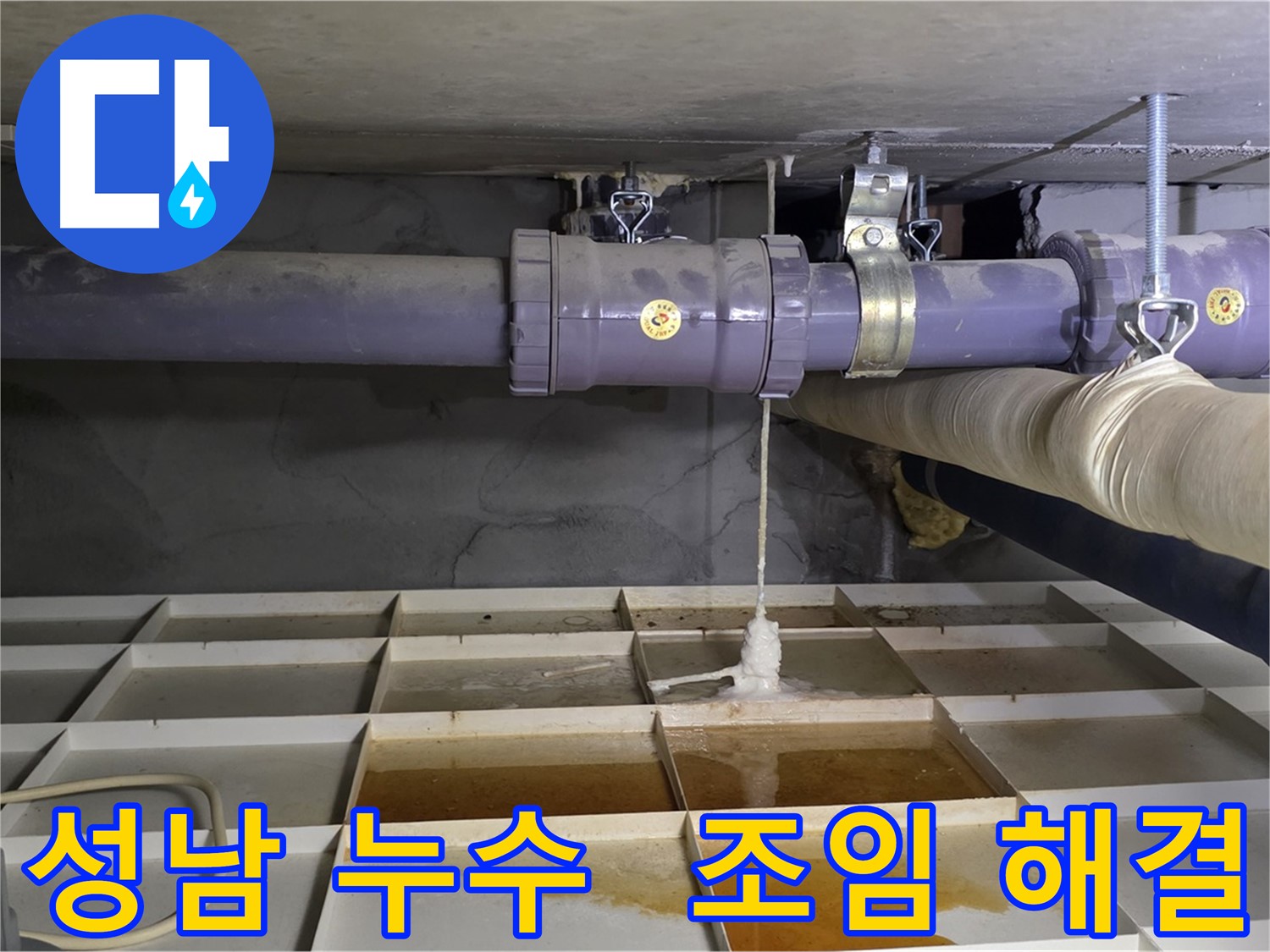 성남 배관 누수 - 연결 부위 헐거움, 신속한 조임 작업으로 누수 해결
