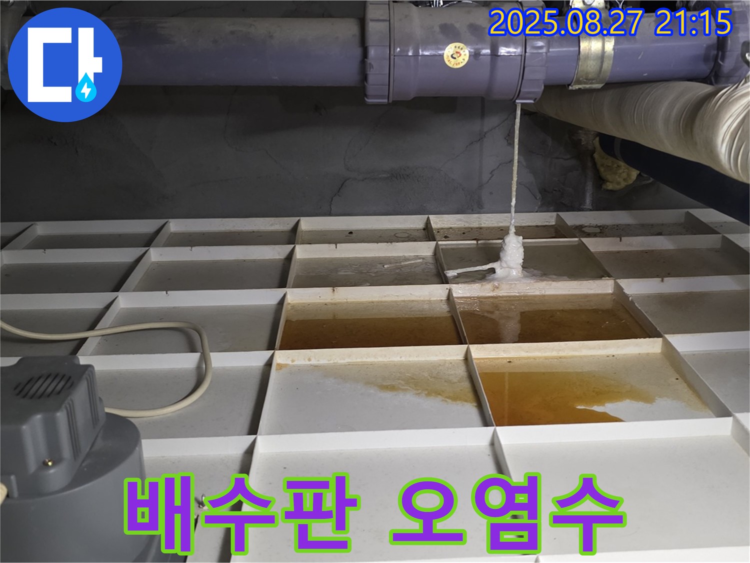 성남 분당 운중동 산운로 - 배수판 위에 누적된 오염수 - 장기간 누수의 흔적입니다.