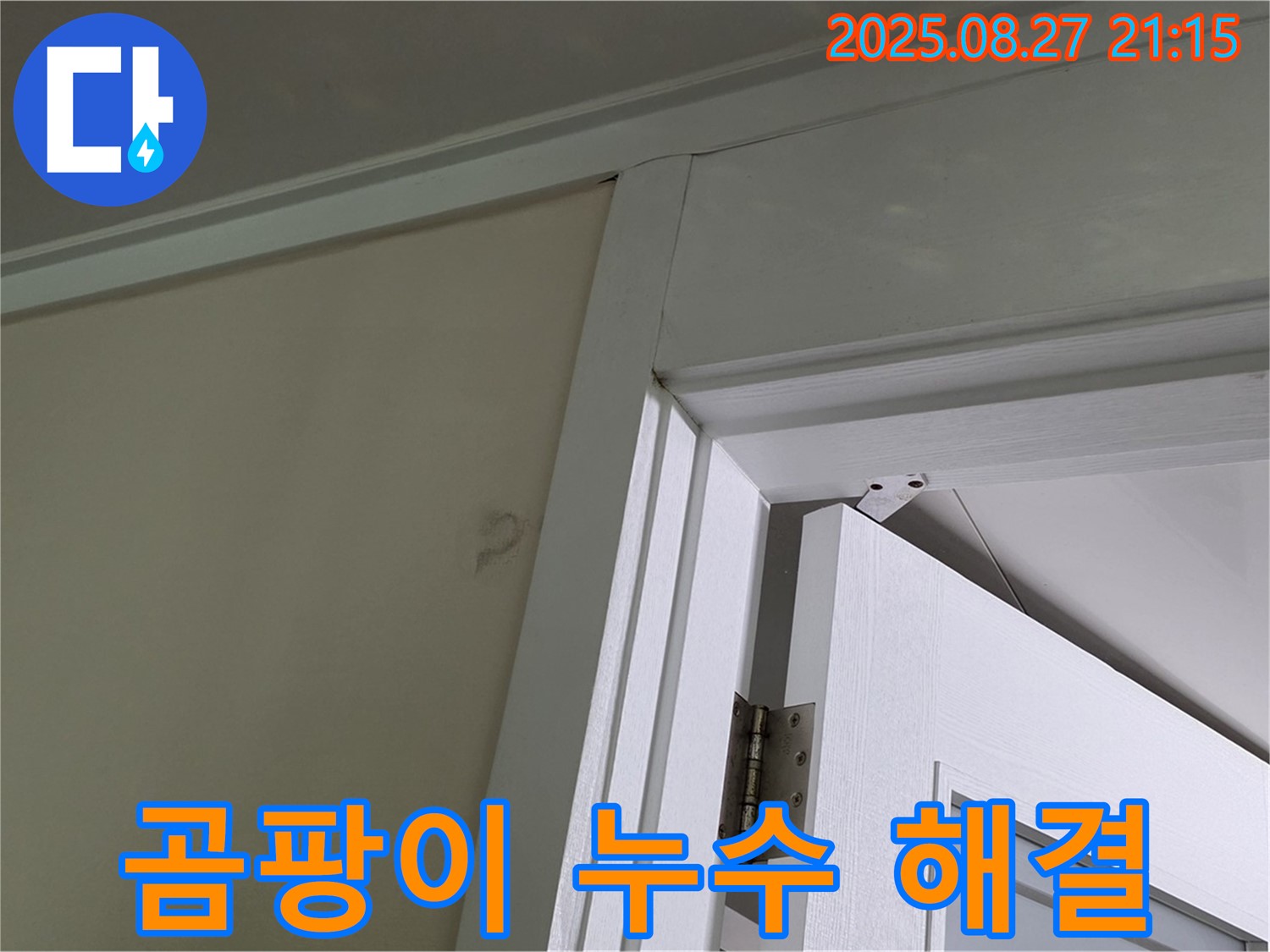 성남 분당 운중동 산운마을 아파트 문틀 위 곰팡이 누수 - 곰팡이와 누수, 이제 걱정 끝!