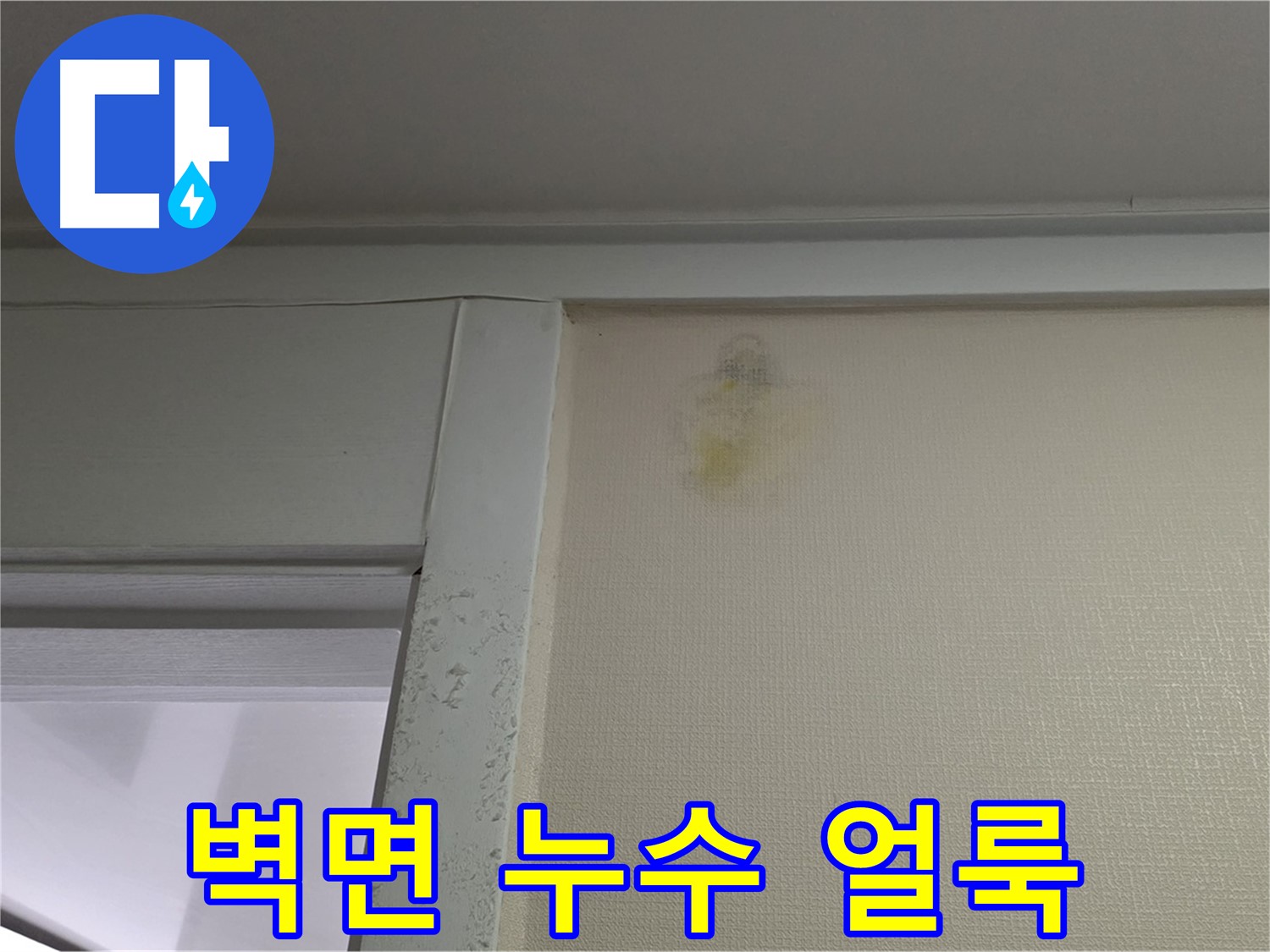 성남시 분당구 운중동 산운마을 아파트 벽면 누수 얼룩 - 누수 완벽 차단 시공