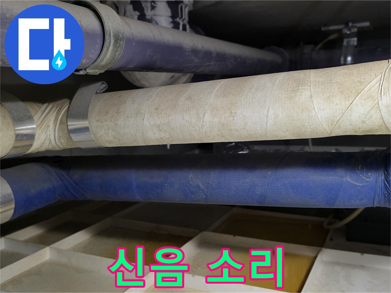 숙련된 기술 - 침묵 속 작은 신음 소리도 놓치지 않는 예민한 귀