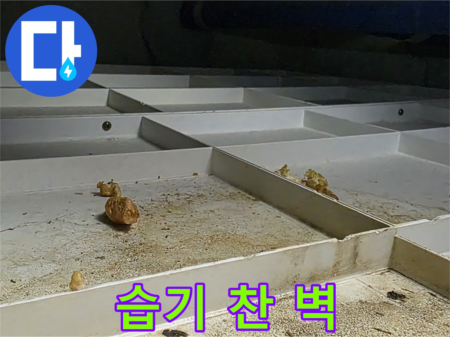 습기 찬 벽 - 누수로 인한 습기