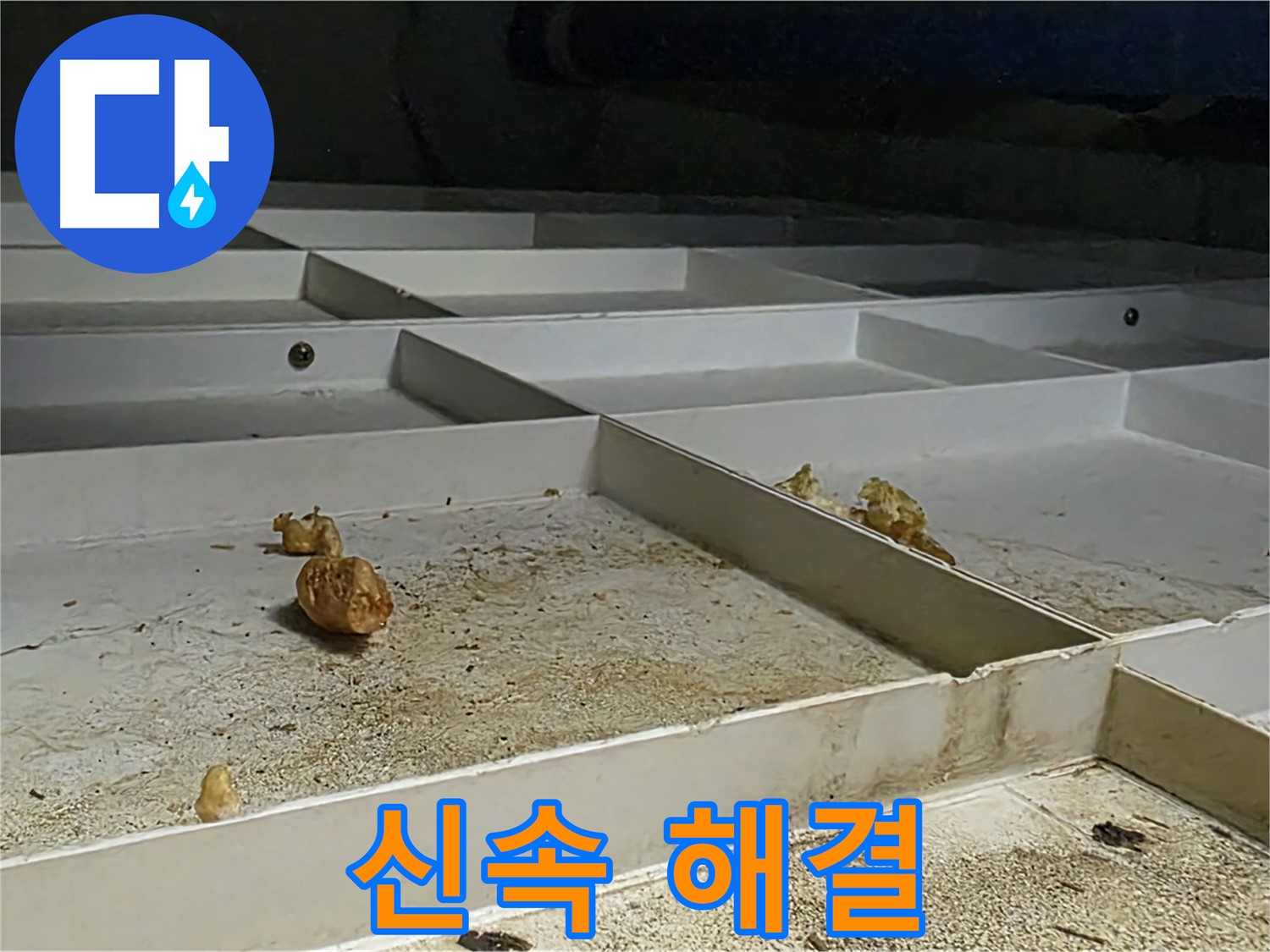 신속 해결 - 누수 문제 신속 해결