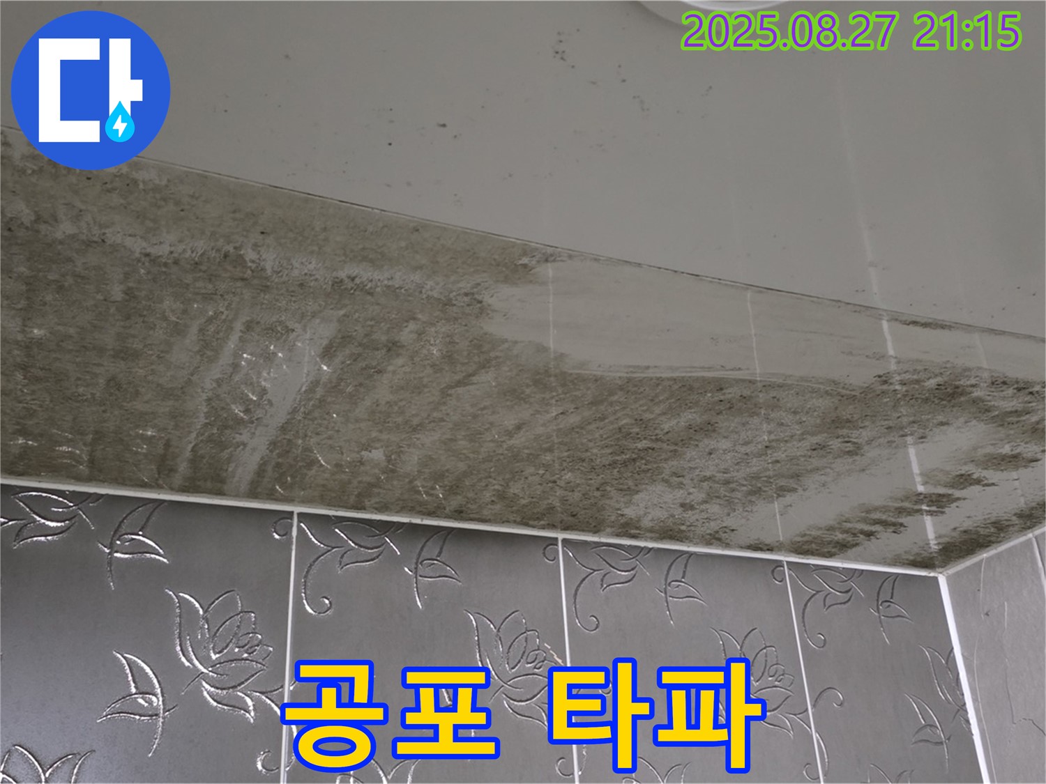 심각한 천장 곰팡이 - 곰팡이 공포를 완전 타파하기 위해 24시간 대기 중인 이미지입니다.