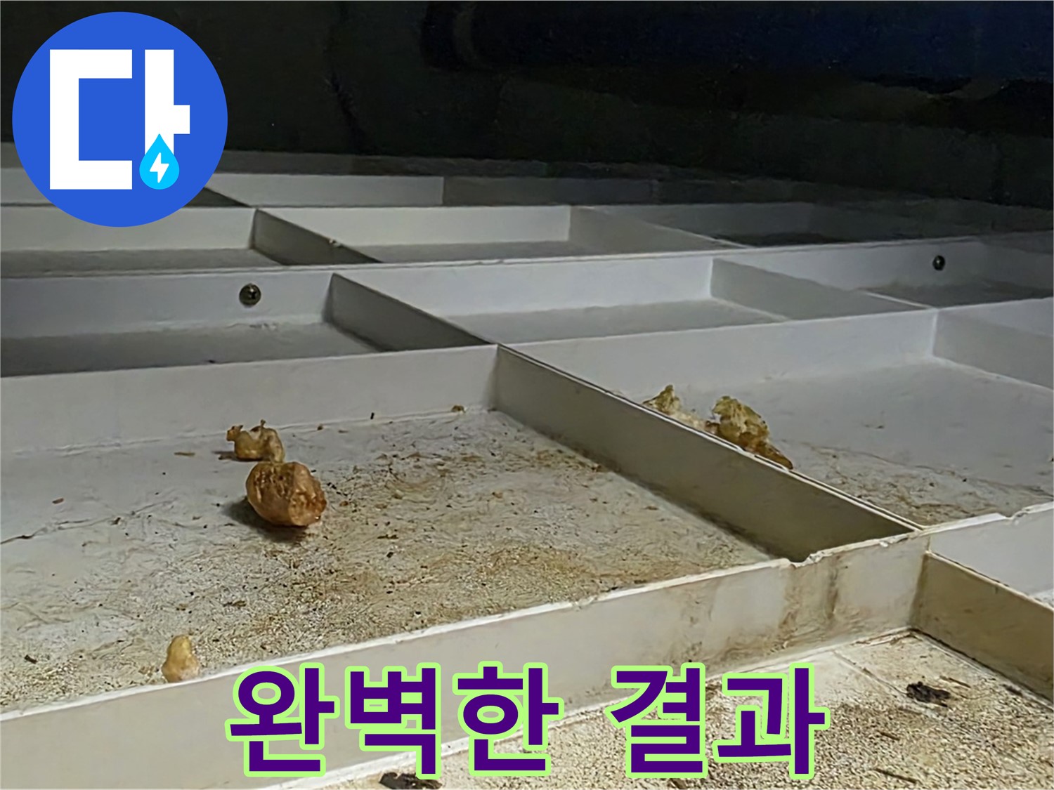 완벽한 결과 - 누수 해결 과정 및 결과