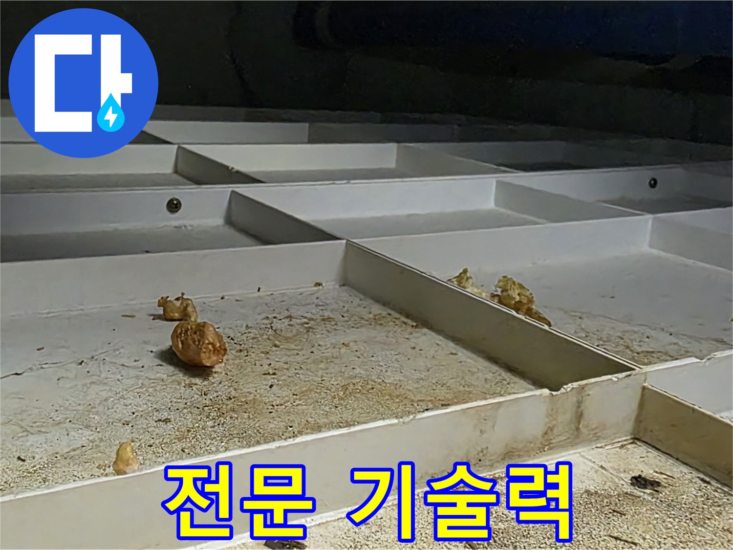 전문 기술력 - 누수 해결 전문 기술력