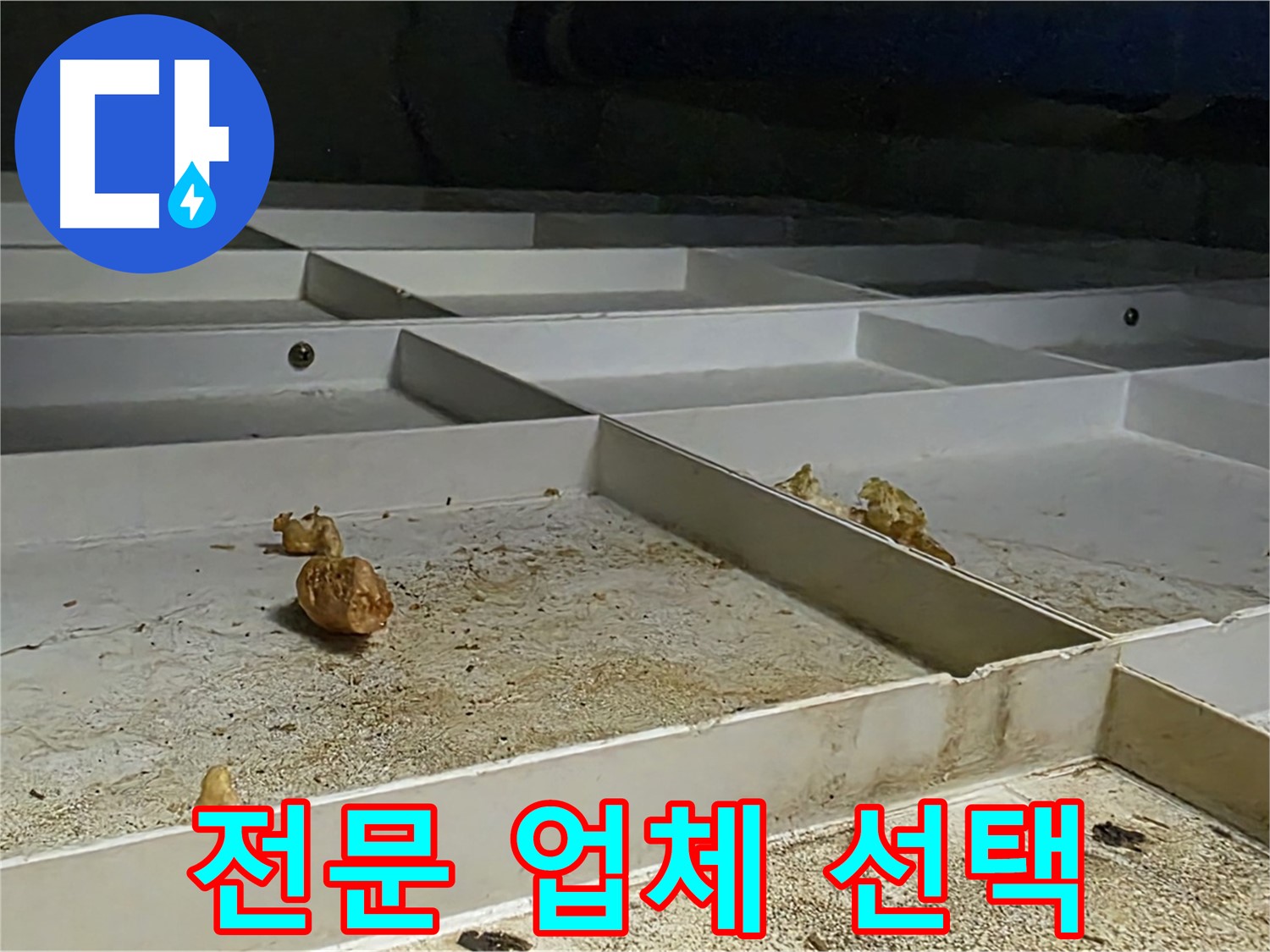 전문 업체 선택 - 누수 해결 전문 업체 선택
