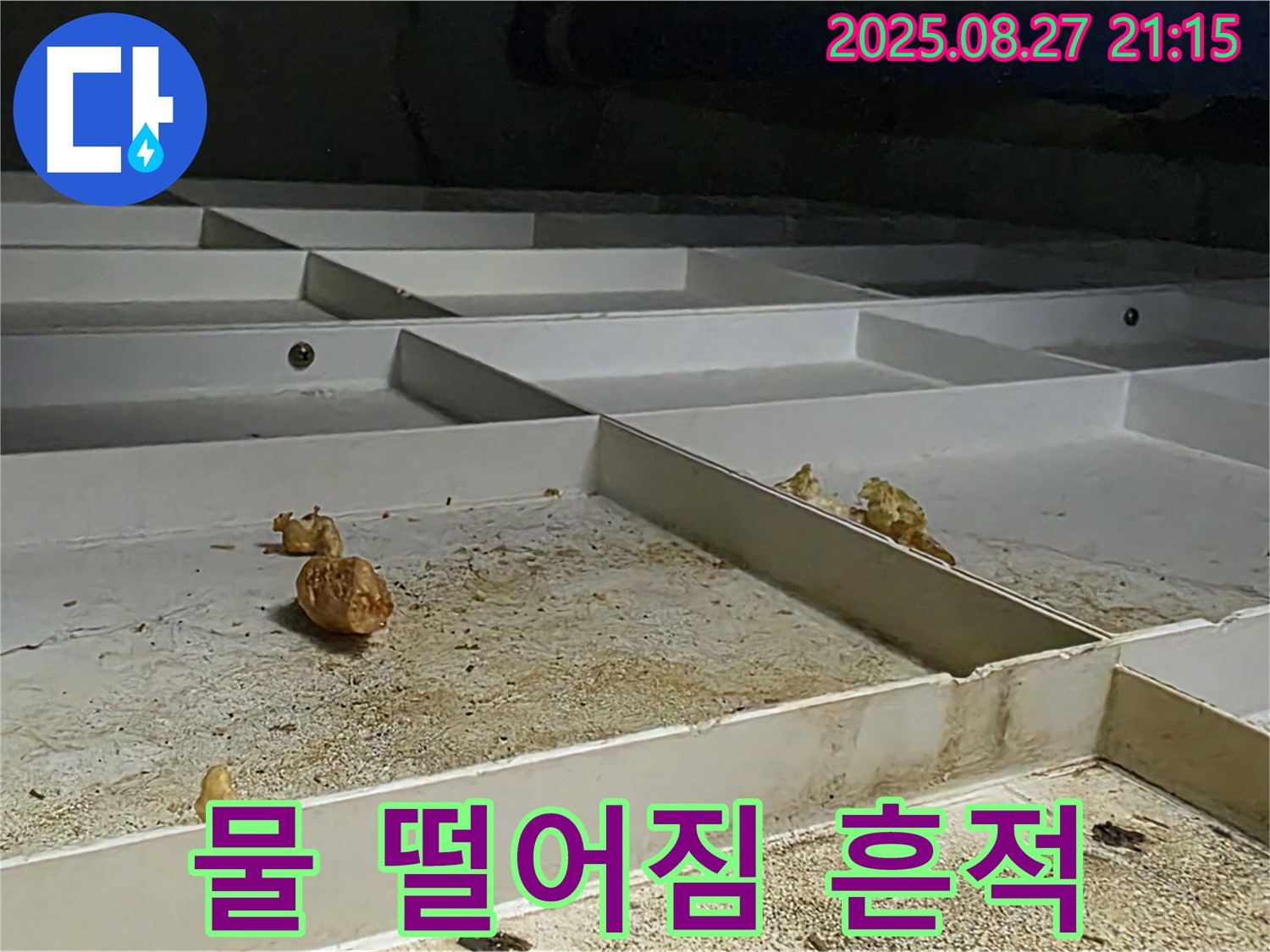 천장 누수 - 물 떨어짐 흔적 - 누수의 직접적인 증거