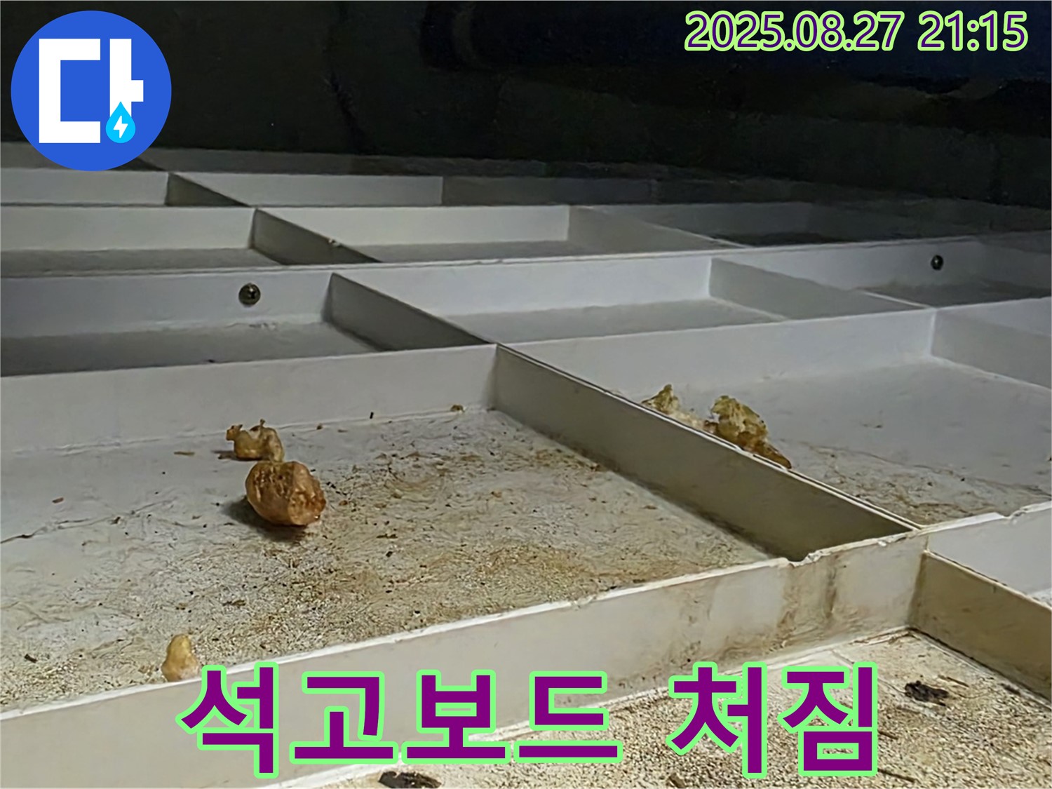 천장 누수 - 석고보드 손상 및 처짐 발생