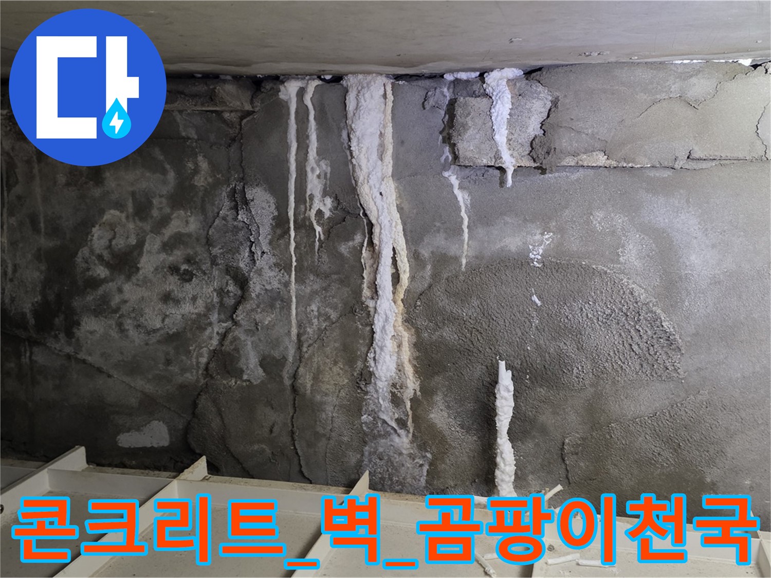 콘크리트 벽 - 석회수 지옥, 건물 곰팡이 천국 될까 불안