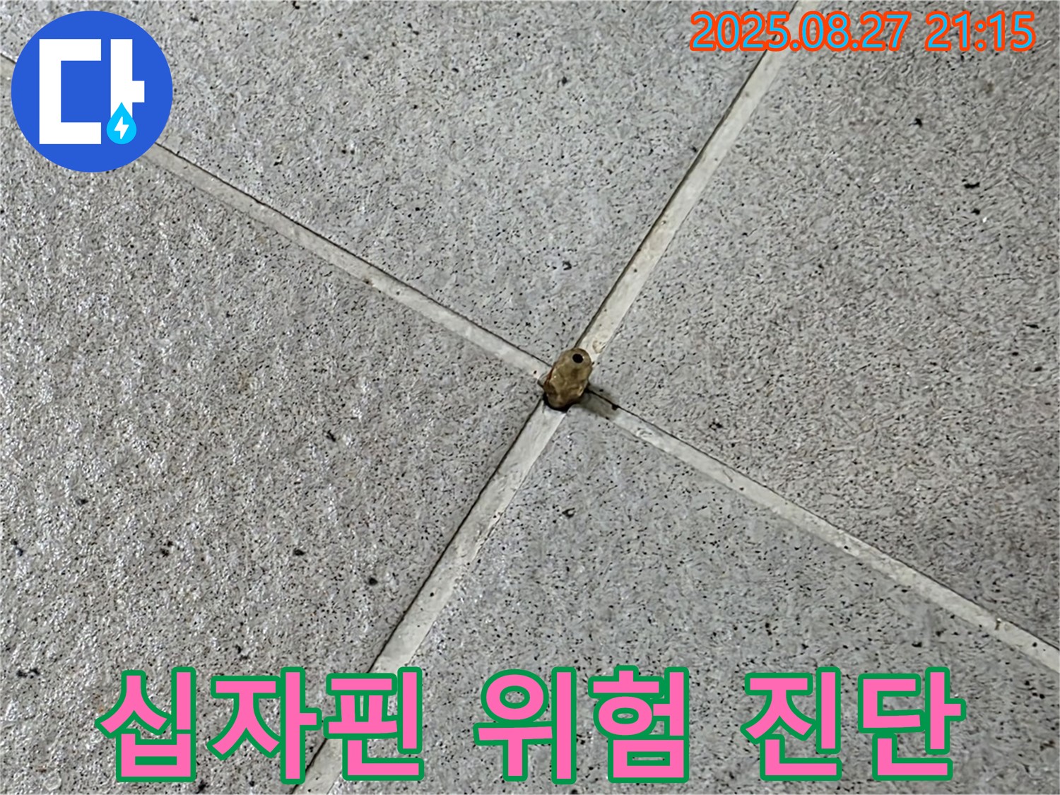 타일 십자핀 - 누수 위험 사전 진단 작업