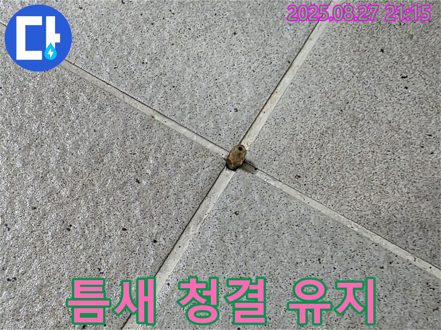 타일 십자핀 제거 - 틈새 청결 유지하며 작업 진행